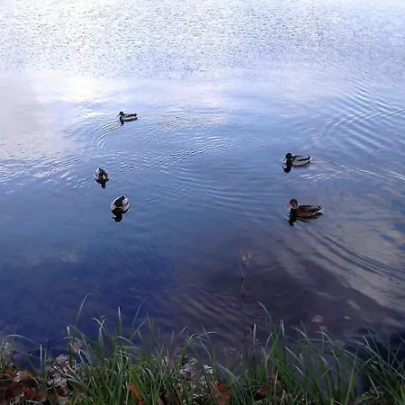 Pauline Am Müllrose