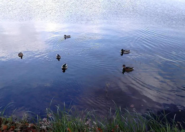 Pauline Am Müllrose